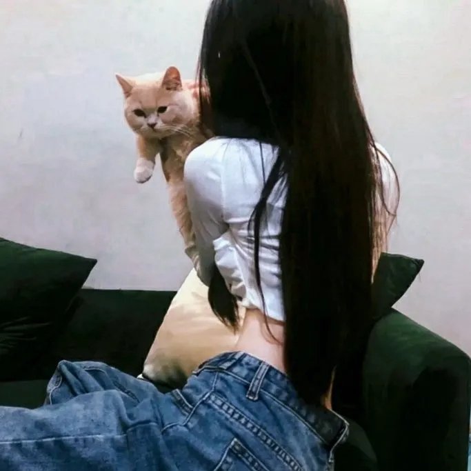科搜研之女2022