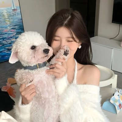猎头行动